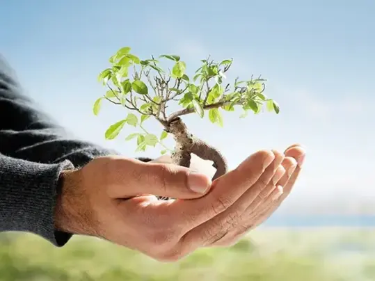 Revêtement de sol durable environnement | Forbo Flooring Systems